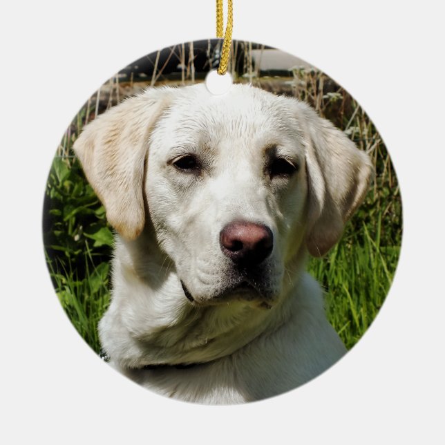 LABRADOR DOG KERAMIKORNAMENT (Vorne)