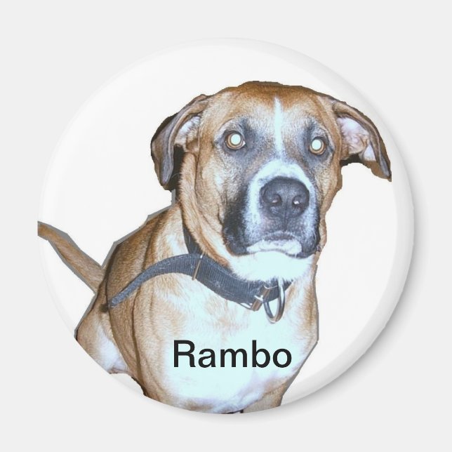 Labrador Dog-Magnet Magnet (Vorne)