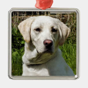 LABRADOR DOG ORNAMENT AUS METALL