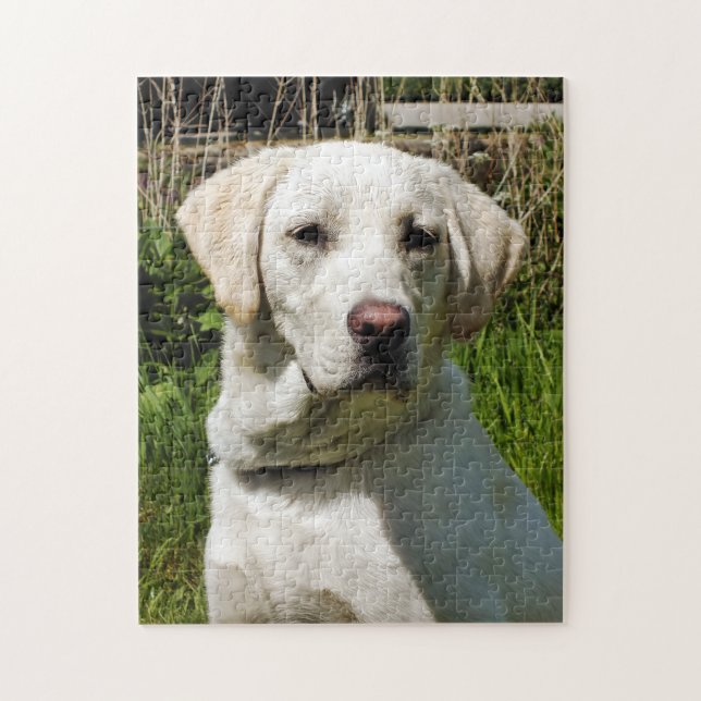 LABRADOR DOG PUZZLE (Vertikal)