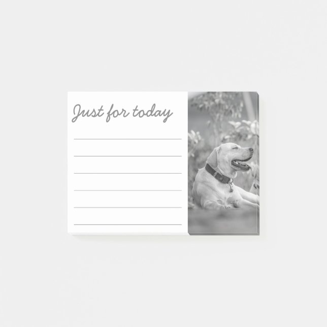 LABRADOR DOG RELAXING POST-IT NOTES POST-IT KLEBEZETTEL (Vorderseite)