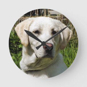 LABRADOR DOG RUNDE WANDUHR