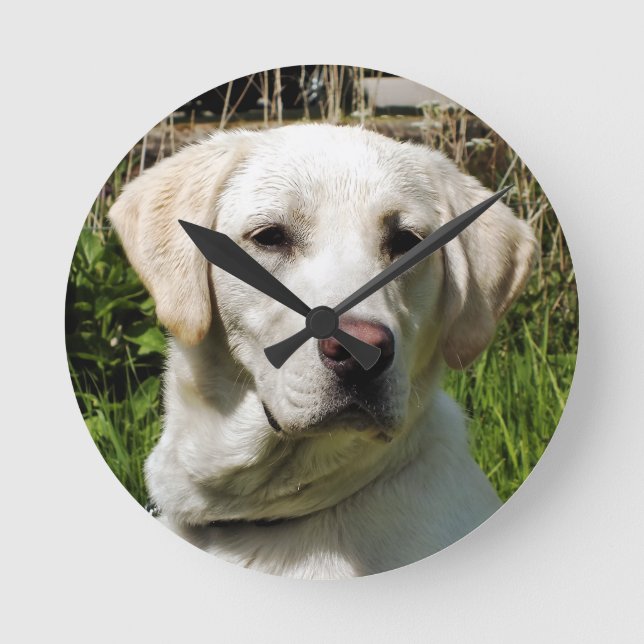 LABRADOR DOG RUNDE WANDUHR (Vorderseite)