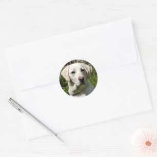 LABRADOR DOG RUNDER AUFKLEBER