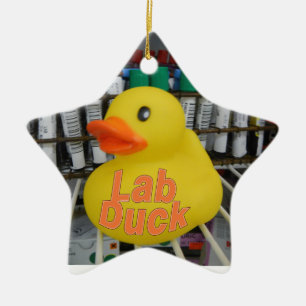 LABRADOR DUCK CHRISTMAS ORNANATION KERAMIK ORNAMENT