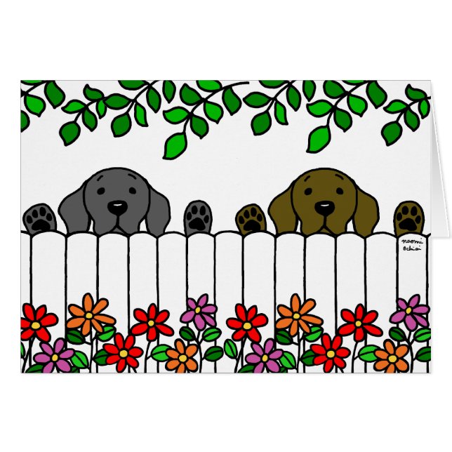 Labrador Duo beobachtet Sie (Vorderseite (Horizontal))