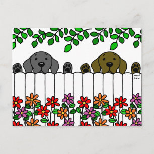 Labrador Duo beobachtet Sie Postkarte