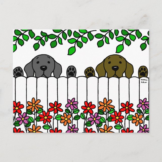 Labrador Duo beobachtet Sie Postkarte (Vorderseite)