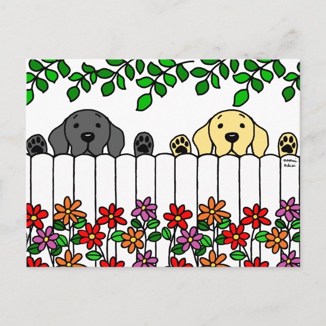Labrador Duo beobachtet Sie Postkarte (Vorderseite)