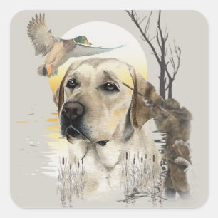 Labrador, Entenjagd Quadratischer Aufkleber