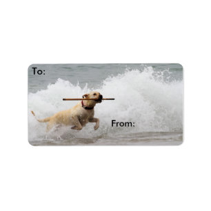 Labrador - Gelb - Hol dich! Adressaufkleber