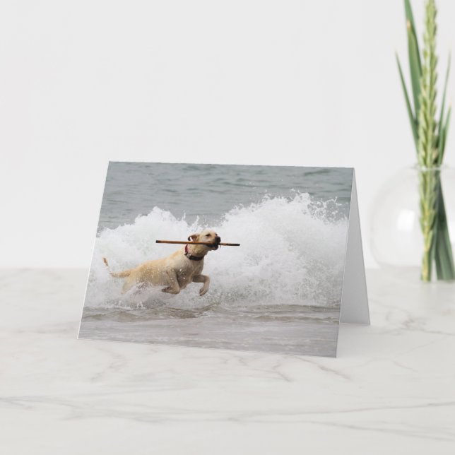 Labrador - Gelb - Hol dich! Karte (Vorderseite)