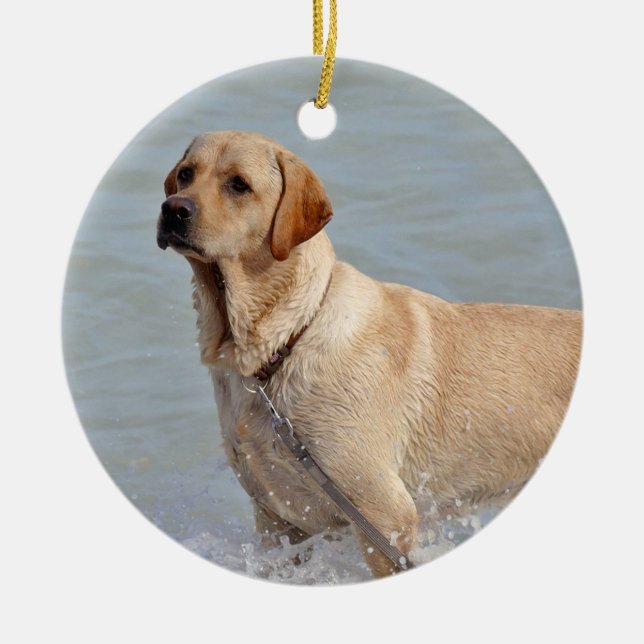 Labrador Gelber Hund Wasser Foto Keramik Ornament (Vorne)