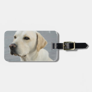 Labrador-Gepäck-Umbau Gepäckanhänger