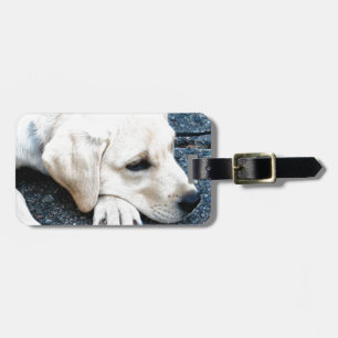Labrador Gepäckanhänger
