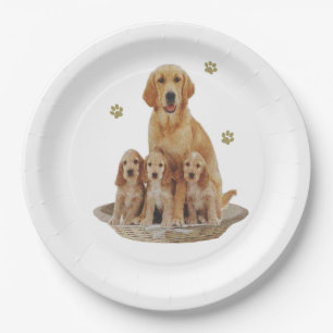 Labrador-Geschenke Pappteller