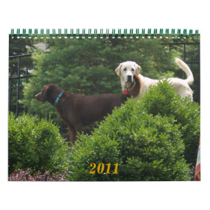 Labrador & Golden Calendar Kalender