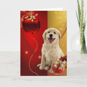 Labrador Golden Retriever Weihnachtskarten Feiertagskarte