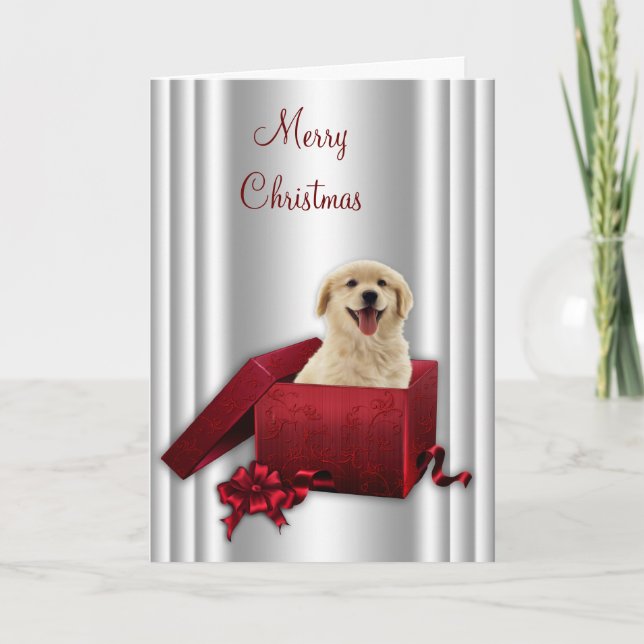 Labrador Golden Retriever Weihnachtskarten Feiertagskarte (Vorderseite)