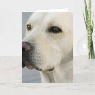Labrador-Gruß-Karte Karte