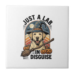 Labrador Halloween-Shirt Vintage Hexe Hundekostüm Fliese