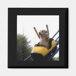 Labrador-Hund Achterbahn Lustiges Meme Magnet