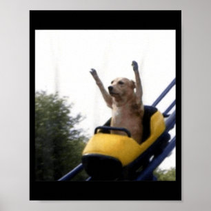 Labrador-Hund Achterbahn Lustiges Meme Poster