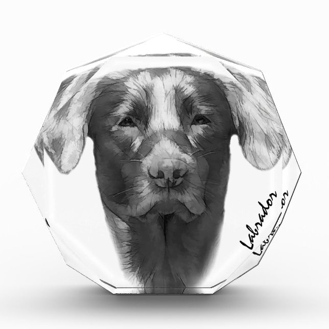 Labrador Hund cool Fotoblock (Vorderseite)