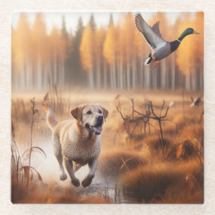 Labrador/Hund im Herbst Entenjagd Glasuntersetzer