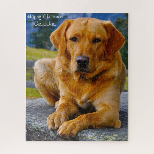 Labrador Hund. Puzzle (Vertikal)