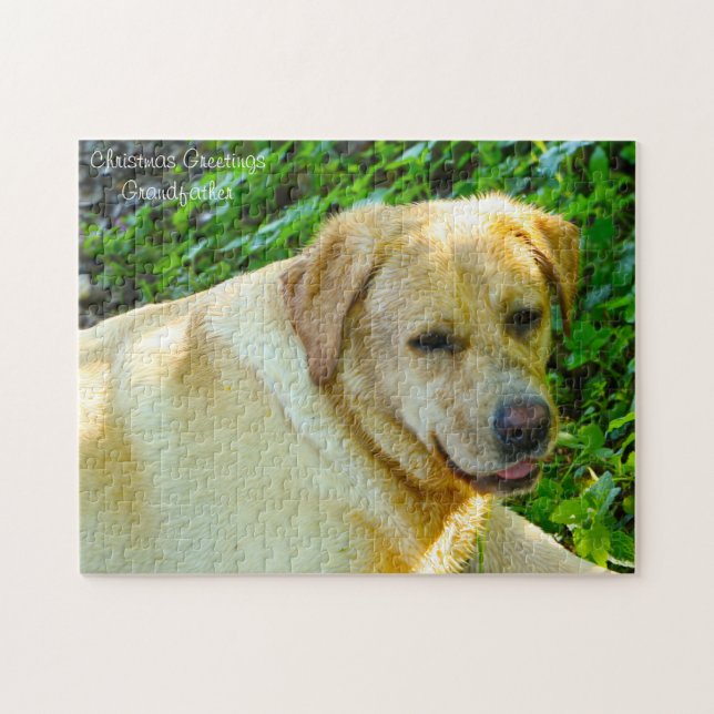 Labrador Hund. Puzzle (Horizontal)