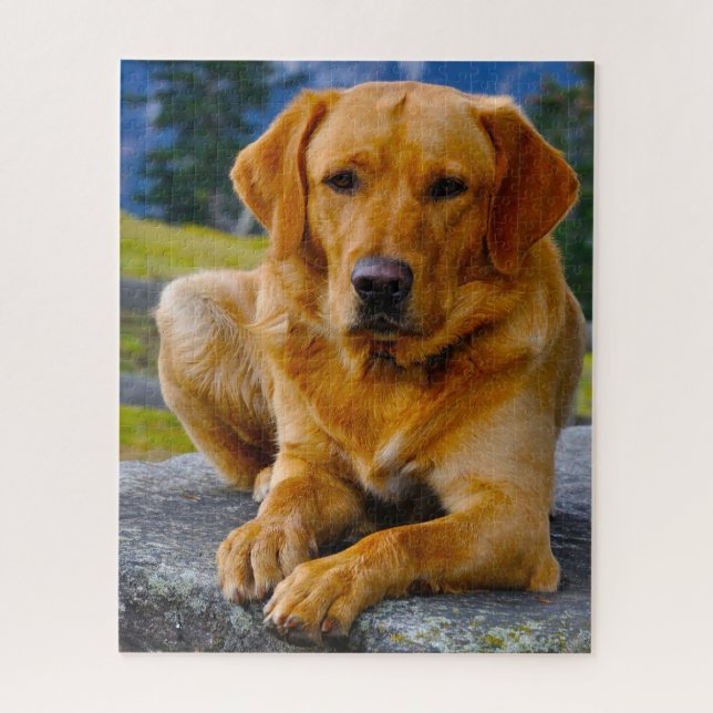 Labrador Hund. Puzzle (Vertikal)