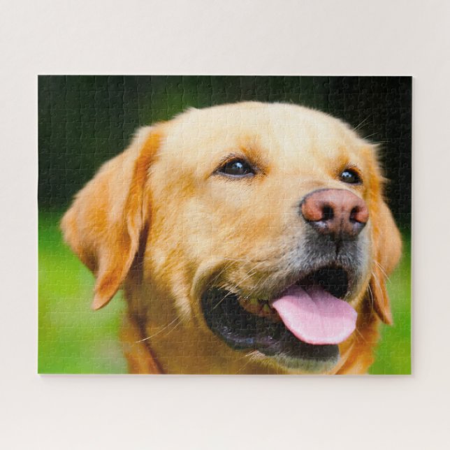 Labrador Hund. Puzzle (Horizontal)