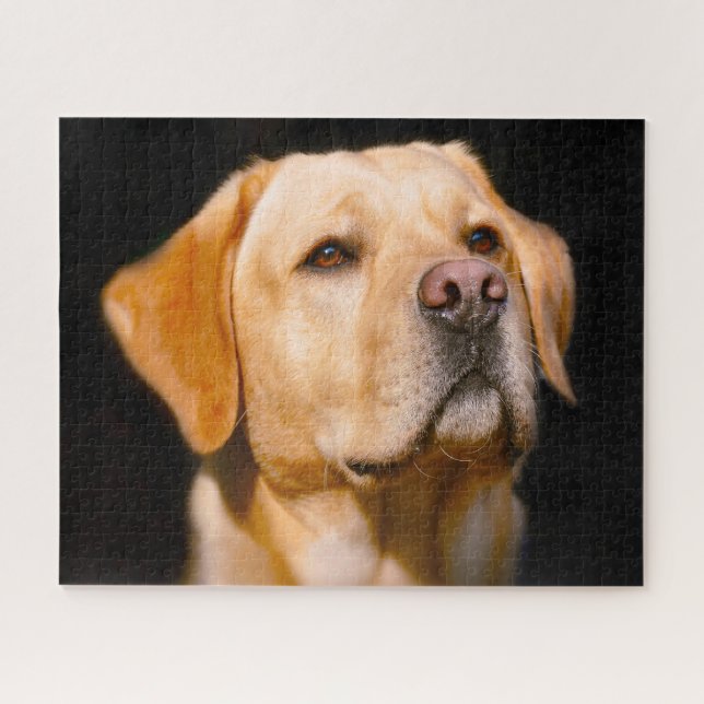Labrador Hund. Puzzle (Horizontal)