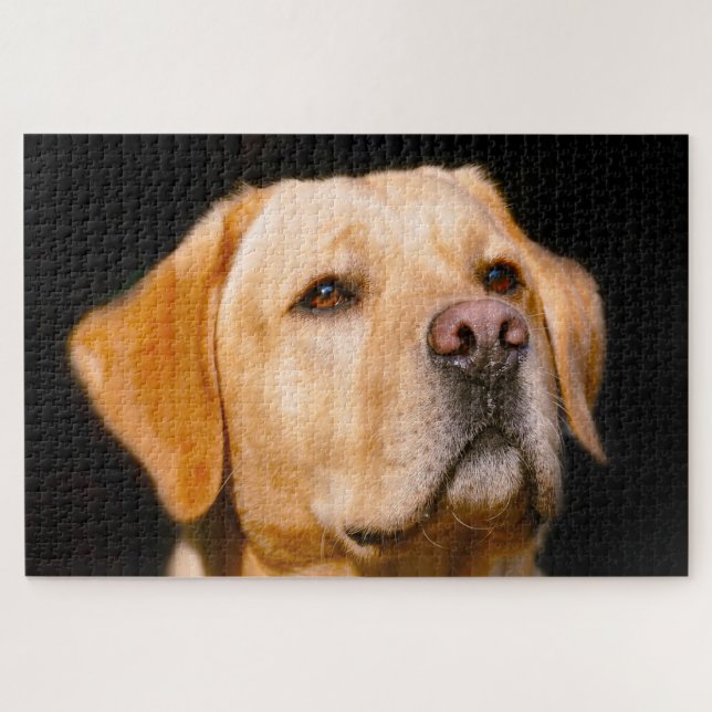 Labrador-Hund. Puzzle (Horizontal)