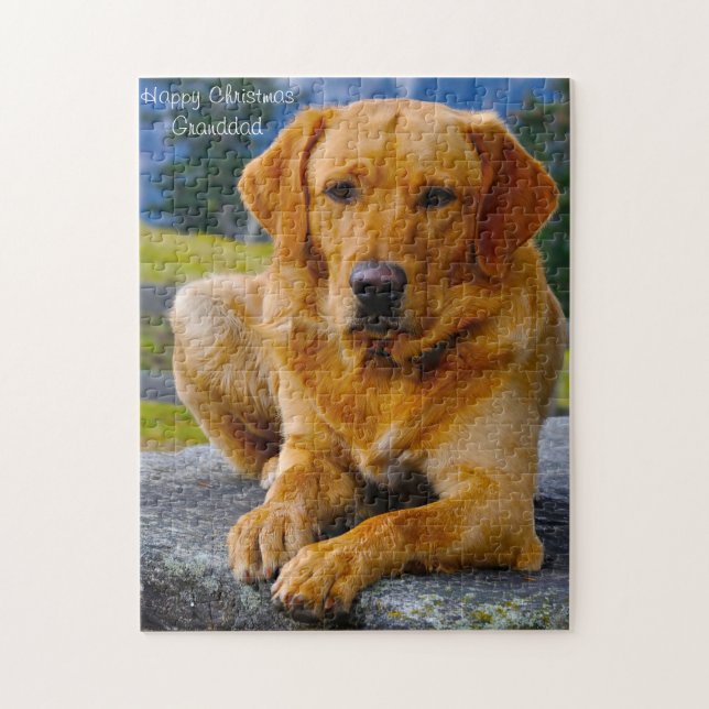 Labrador Hund. Puzzle (Vertikal)