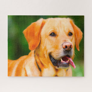 Labrador Hund. Puzzle