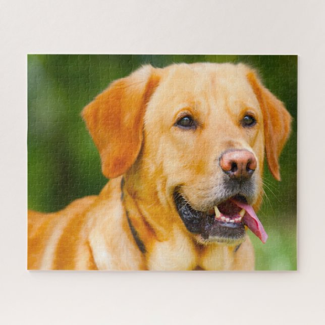 Labrador Hund. Puzzle (Horizontal)