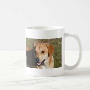 Labrador-Hund Tasse