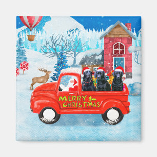 Labrador Hund Weihnachts-LKW Schnee Magnet