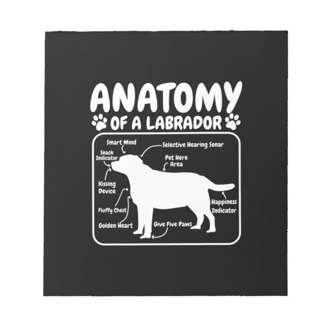 Labrador Hundanatomie Notizblock (Vorderseite)