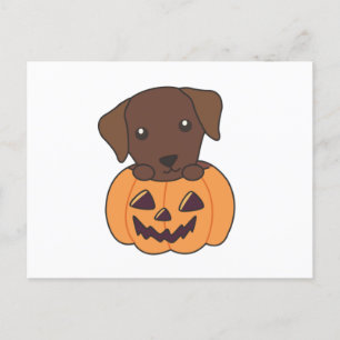 Labrador in Pumpkin Niedliche Hunde glückliche Hal Postkarte
