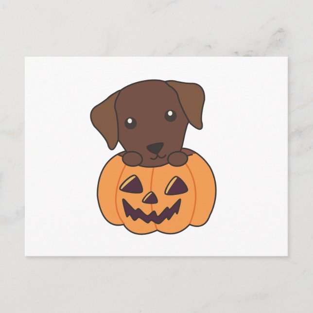 Labrador in Pumpkin Niedliche Hunde glückliche Hal Postkarte (Vorderseite)
