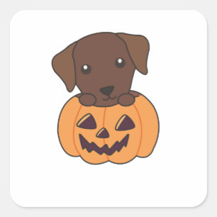 Labrador in Pumpkin Niedliche Hunde glückliche Hal Quadratischer Aufkleber