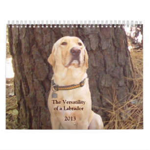 Labrador-Kalender - 2013 Kalender