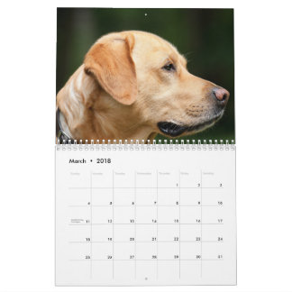 Labrador-Kalender Kalender