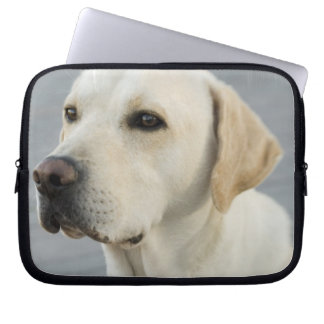 Labrador-Laptop-Hülse Laptopschutzhülle