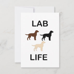 Labrador Leben alle Farben Silhouette Dankeskarte