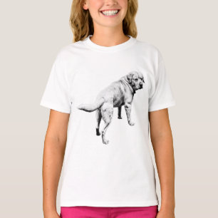 Labrador, leicht zu halten T-Shirt