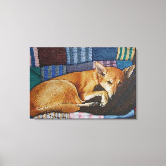 Labrador Leinwanddruck (Vorderseite)